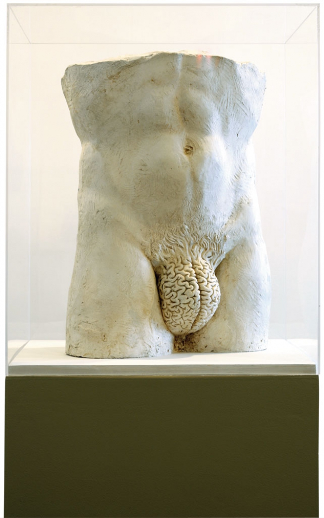 Rational, 2004 / Plaster and plexiglas / 80 x 55 x 55 cm
