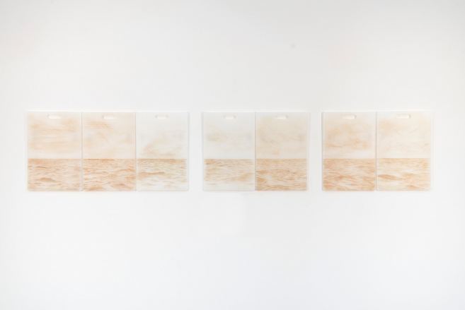 Deep Cuts (visceral), 2015 / Incisions on plastic cutting boards and blood / 45 x  29 cm epch one