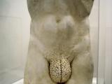 Rational, 2004 / Plaster and plexiglas / 80 x 55 x 55 cm