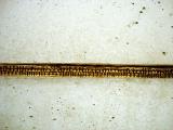 Stress, 2004 / Concreto y bronce fundido / 250 x 60 x 60 cm / Galería George Adams, NY, USA