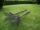 Migrant, 2010-2013 / Bronce / Dimensiones variables / LongHouse Reserve, East Hamptons, NY, USA