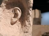 Mass Portrait (lot), 2007-2008 (detail) / Carved stone and metal / Variable dimensions