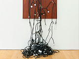 Consensus (collective feeling) detail, 2012-2013 / Stethoscopes and nickel-plated copper devices on wooden base / 159 x 86 x 17 cm